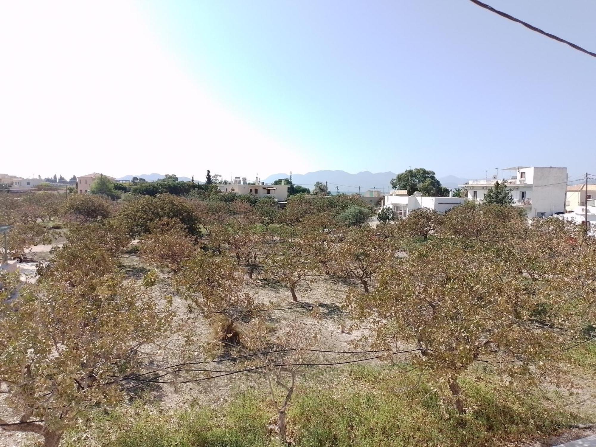 Miranta Hotel - Apartments & Studios Aegina Esterno foto
